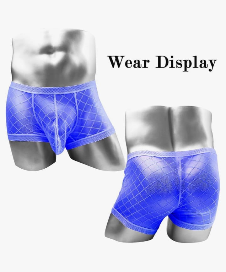 Men's Mesh See Through Boxer Briefs, Sheer Lace Underwear